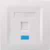 Foursquare Single Port Face Plate 86*86 type