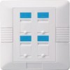 Foursquare Four Port Face Plate 86*86 type