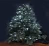 LED Christmas tree light