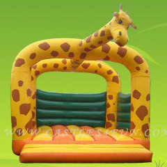 fun jumps,bouncy castles for sales