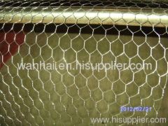 HEX WIRE MESH