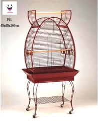 Parrot Cage