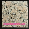 Cjinese red granite