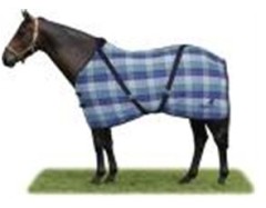 Horse Blankets