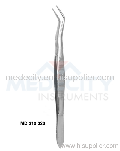 Dental Instruments