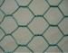hexagonal wire mesh/ chicken mesh