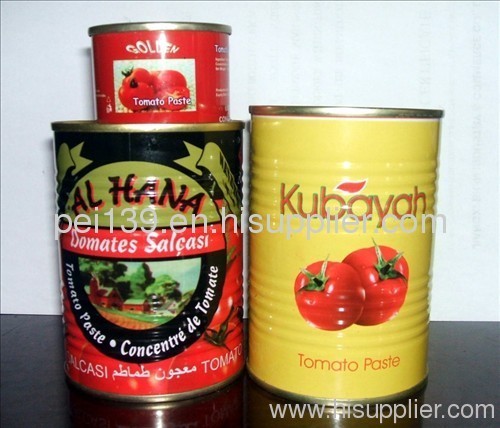 tomato paste ketchup tomato pastes