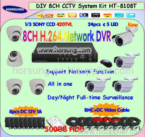 8CH CCTV IR Dome Camera & DVR Surveillance System