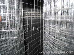 Electrol/hot-dipped Welded Wire Mesh