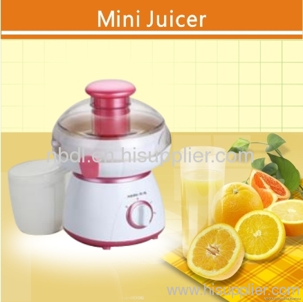 Mini Juicer