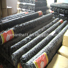 hexagonal wire netting