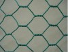 Hexagonal Wire Mesh