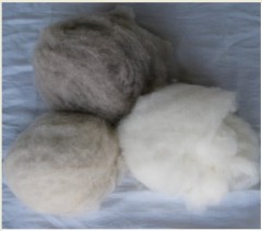 15-16.5mic white cashmere fibre