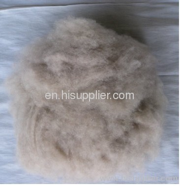raw cashmere fibre