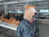 horse head mask