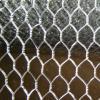 Hexagonal wire mesh