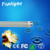 6W T8 LED Tube Light