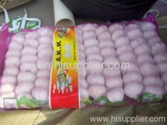 pure white garlic small package mesh package