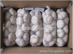 pure white garlic small package mesh package