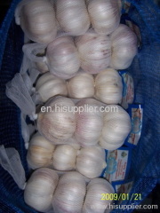 pure white garlic small package mesh package