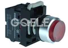 22mm Illuminated Push button switch