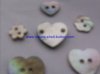 agoya flower,agoya shape,agoya shell button,nature shell button,agoya factory,agoya shell button and White snail