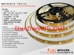 5050SMD 30leds IP68 LED Strip Light