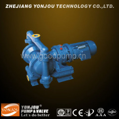 Electric Diaphragm Water Pump