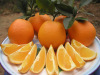 Navel orange