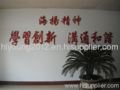 Zaozhuang Hiyoung Dynasty Textile Co., Ltd