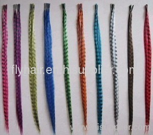 cheap feather hair extension factory china