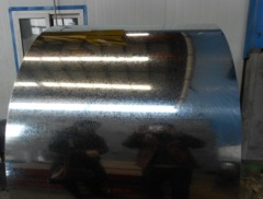 Hot dipped galvanized steel coil