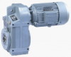 Parallel Shaft Helical Geared Motor (F)