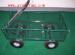 children hand cart