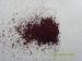 High performance Pigment Brown 25 - Hostaperm Brown HFR