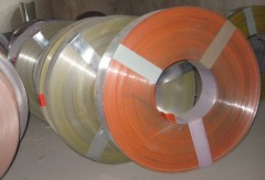 Prepainted galvanized steel strip in coil