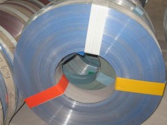 Color coated steel sheet in coils