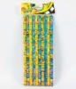 10pcs Disney HB Pencil Sets