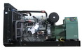 Diesel generator set