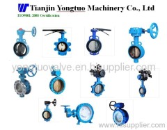 butterfly valve