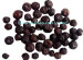Freeze Dried Cracked Blueberry