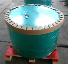 Copolymer coated steel strip