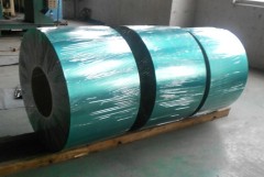 Stainless Steel Tapes