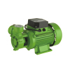 DB Series electric clean water pump