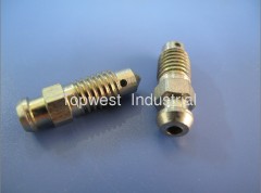 Bleeder screw