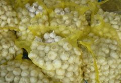 pure white garlic/alho