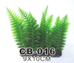 Aquarium Plants