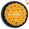 450/750V~0.6/1kVCable Flame-retardant copper conductor PVC insulated and sheath control cable