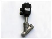 Angle seat Valves