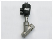 Angle seat Valves